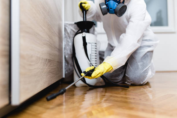 Best Residential Pest Control  in Alexandria Bay, NY