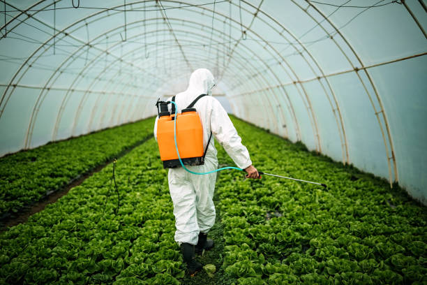 Best Pest Prevention Services  in Alexandria Bay, NY