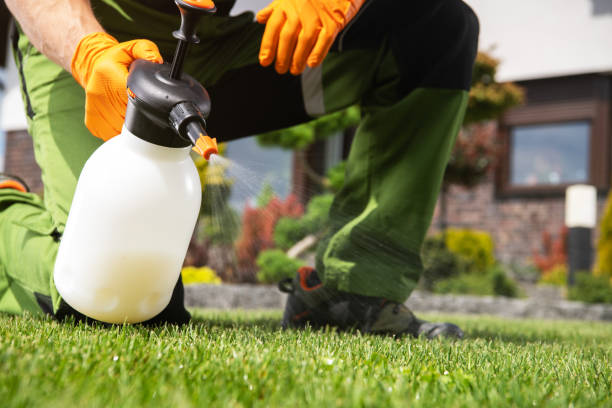Best Pest Control Near Me  in Alexandria Bay, NY