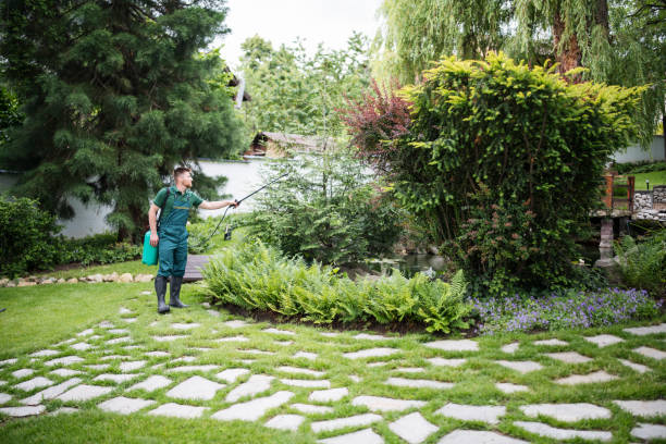Best Best Pest Control Companies  in Alexandria Bay, NY