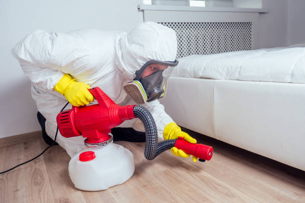 Best Pest Inspection Near Me  in Alexandria Bay, NY