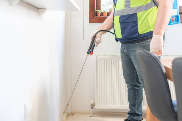 Best Pest Removal Services  in Alexandria Bay, NY