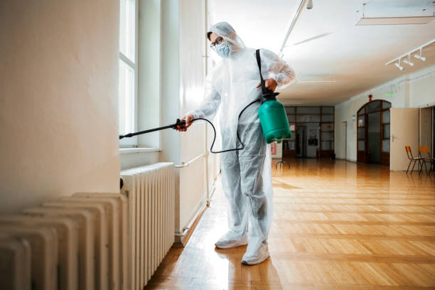 Best Pest Prevention Services  in Alexandria Bay, NY