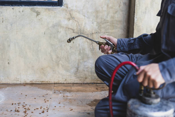 Best Best Pest Control Companies  in Alexandria Bay, NY